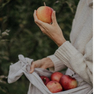 美国人与动物Xxxx
