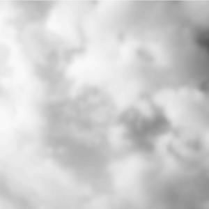 美国人与动物Xxxx
